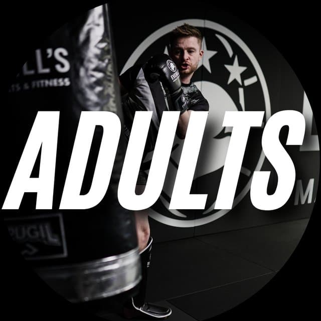 Adults Martial Arts at Everill’s Martial Arts